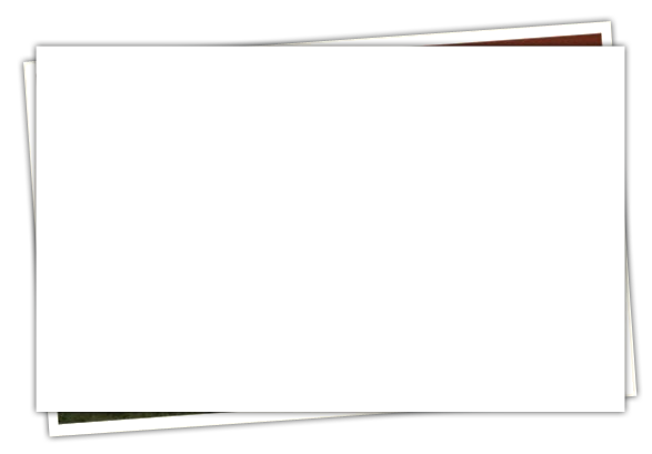 background photo frame