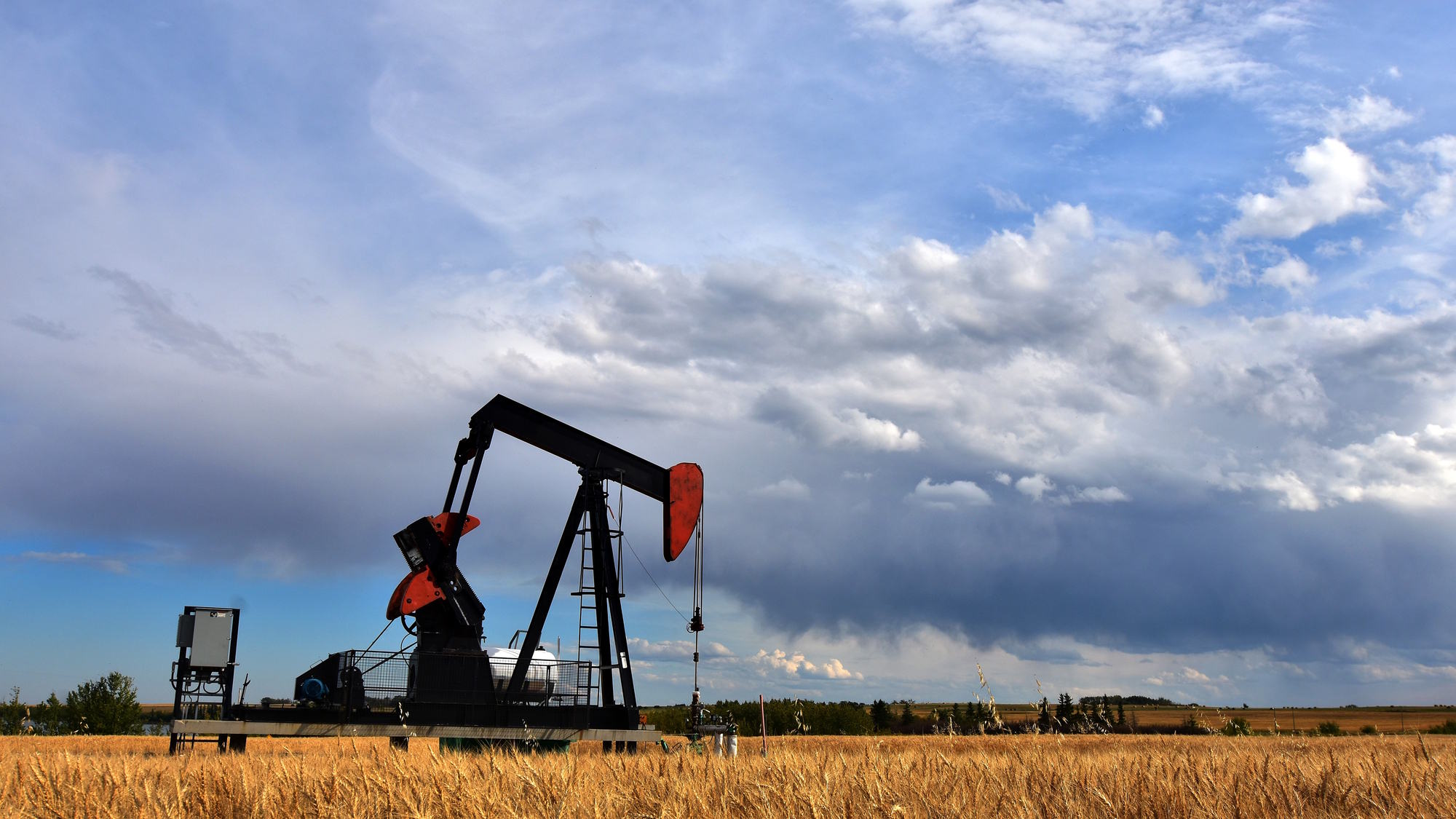 House for home insurance